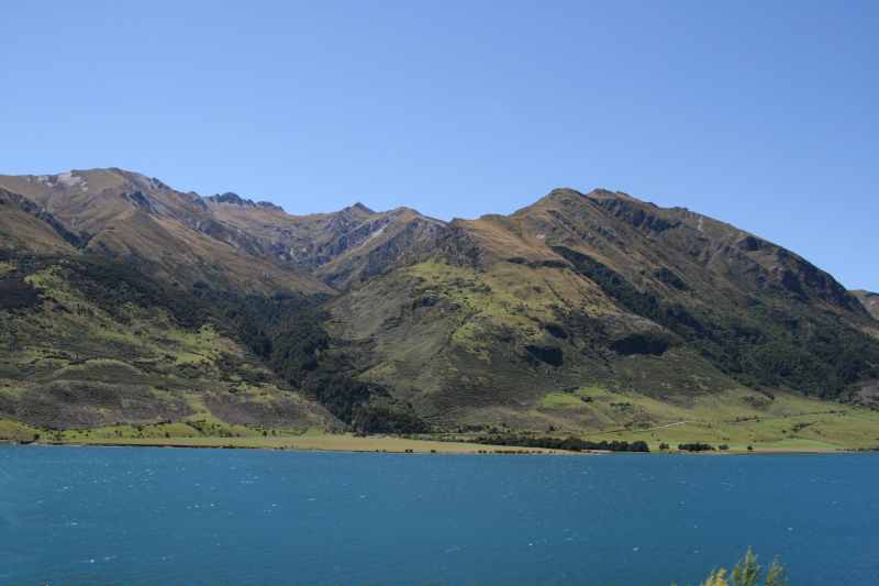 Nieuw-Zeeland 2011 - 1594